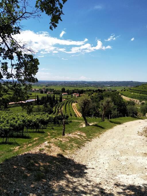 Giardino Del Borgo Appartamento Valpolicella SantʼAmbrogio di Valpolicella Esterno foto