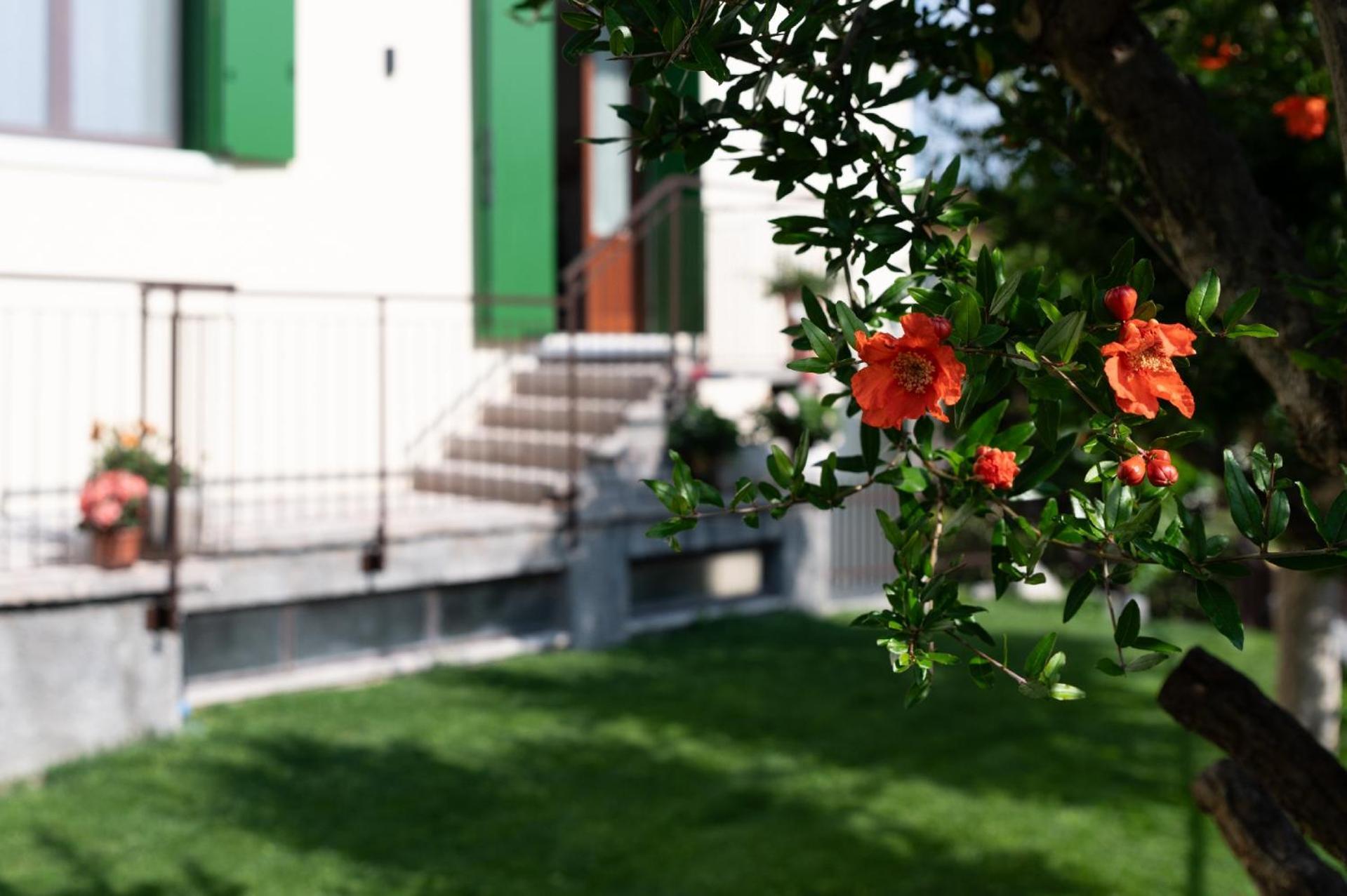 Giardino Del Borgo Appartamento Valpolicella SantʼAmbrogio di Valpolicella Esterno foto
